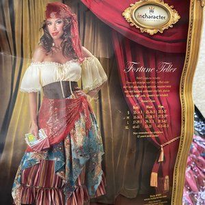 InCharacter Costumes Fortune Teller Costume Medium
